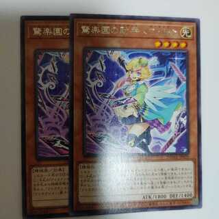 アメイズメント·アシスタント　ディライア