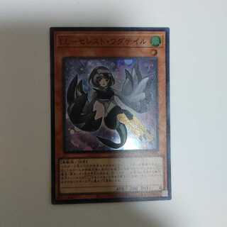 LL-セレスト・ワグテイル