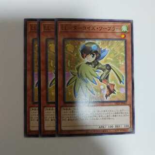 LL-ターコイズ・ワーブラー