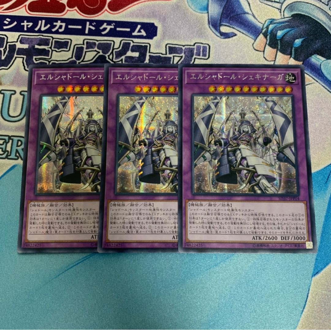 エルシャドールシェキナーガ アジア シークレット