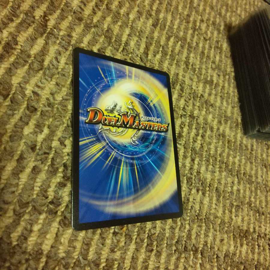 シャコガイル おまけ付き