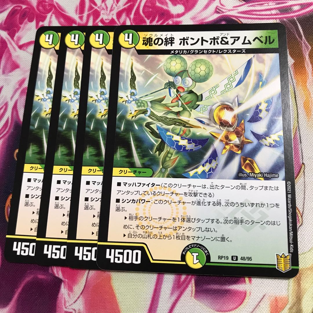 魂の絆 ボントボ&アムベル