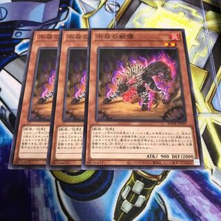 不屈の獣僕 ノーマル　Hulu 1586