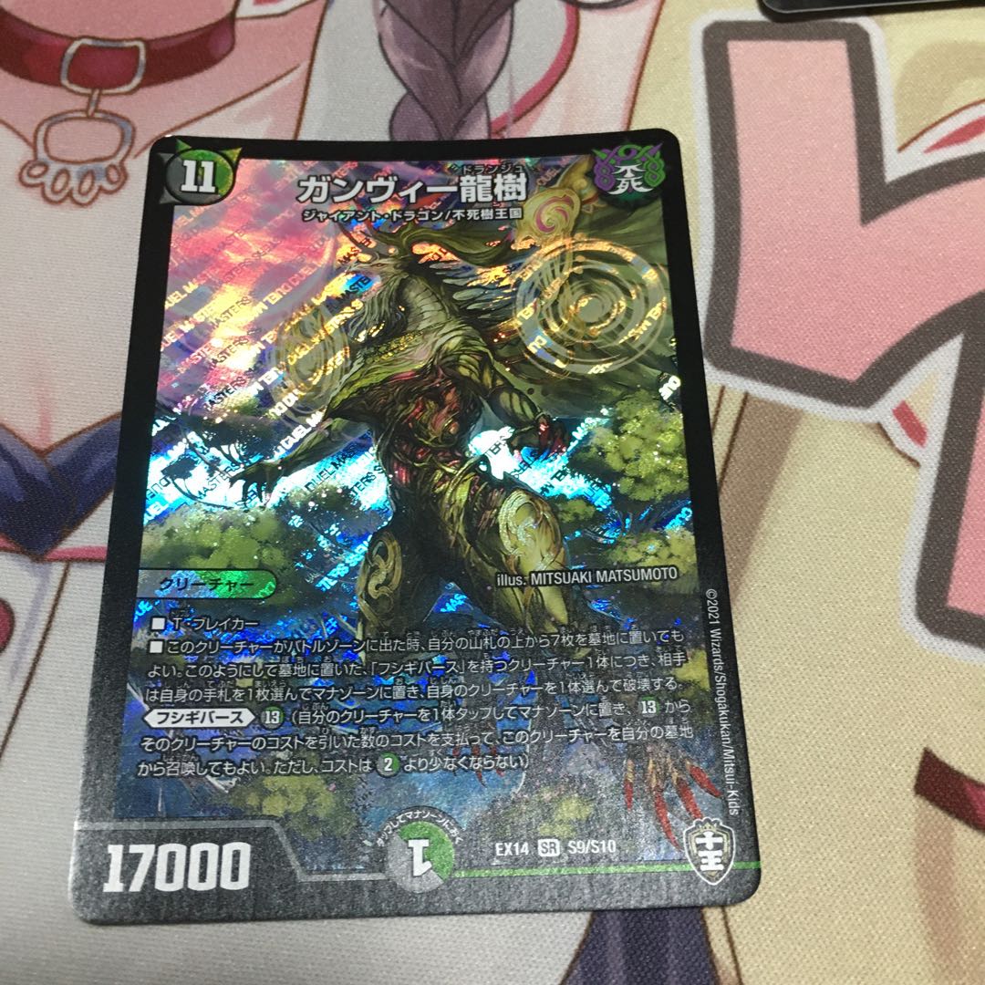 ガンヴィー龍樹