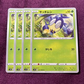 サッチムシ 4枚