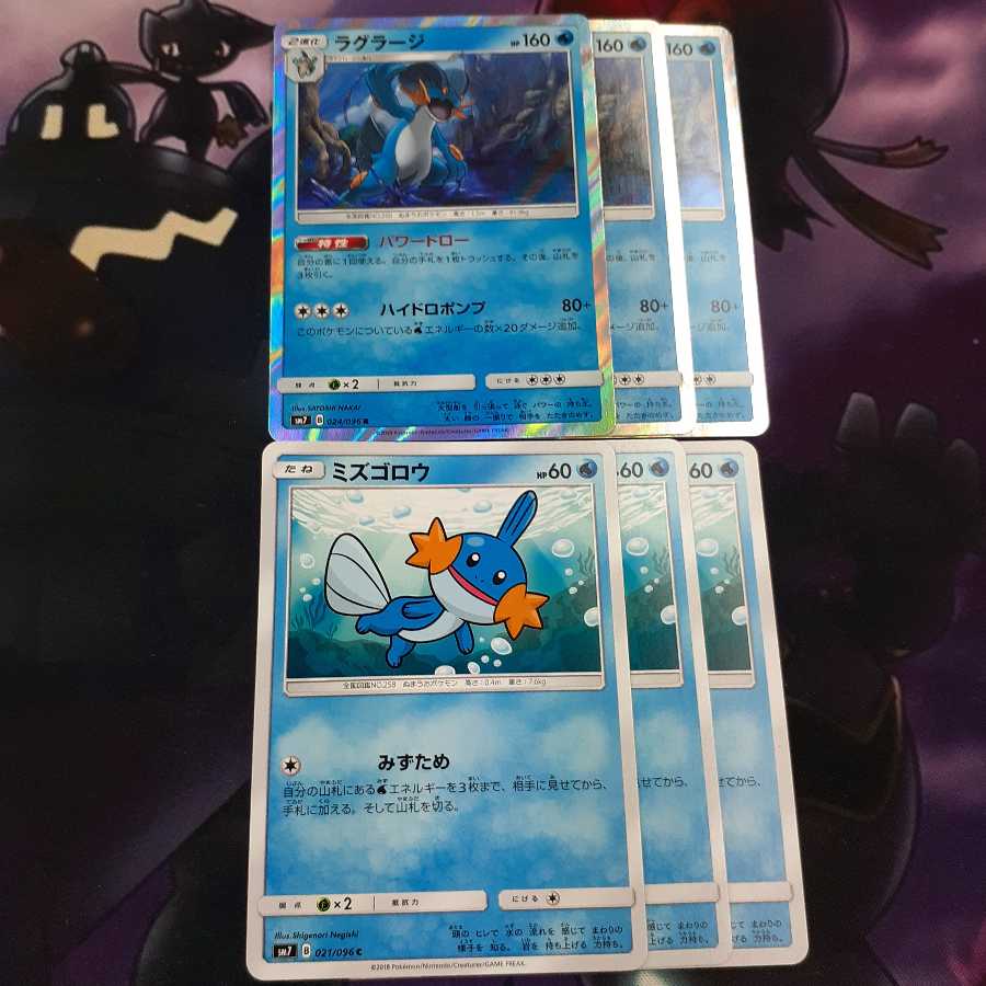 ラグラージ進化ラインセット(i66NL様専用)