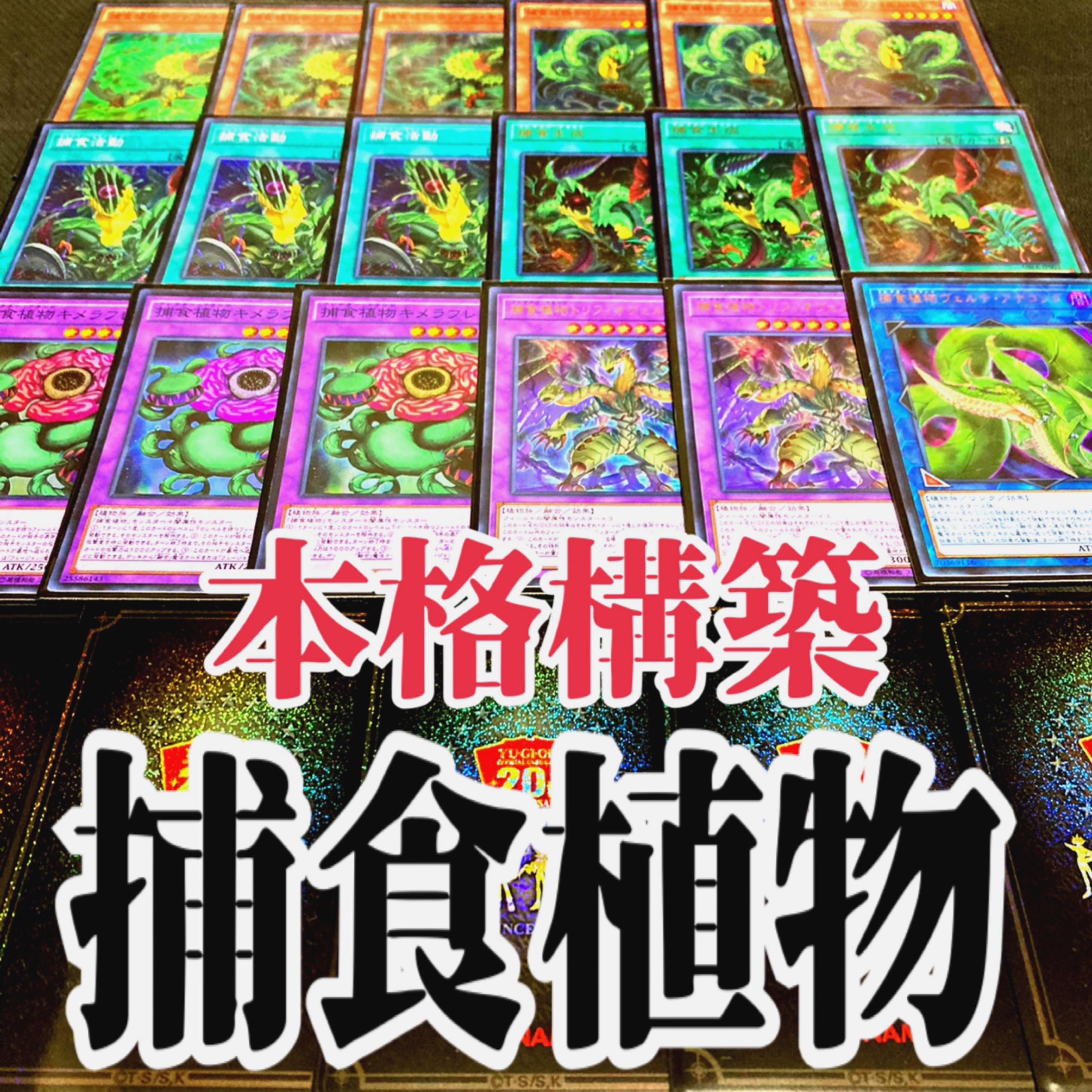 Yu-Gi-Oh Prey Upon Plant