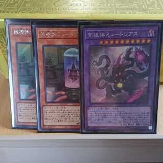 被検体ミュートリアM-05シク