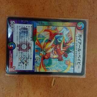 ガイアールベイビー