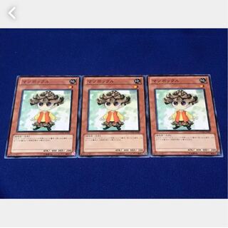 【ぽぽたん】遊戯王 マツボックル 3枚 ノーマル