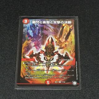 瞬閃と疾駆と双撃の決断