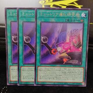 【レア】ミュートリア進化研究所 3枚