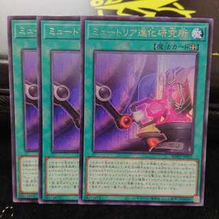 【レア】ミュートリア進化研究所 3枚