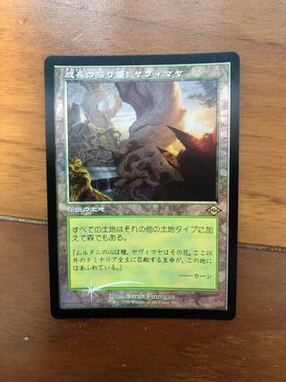 成長の揺り篭、ヤヴィマヤ　旧枠foil