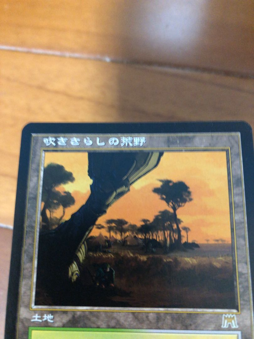 吹きさらしの荒野 1枚 (Used) （1937835806）| magi -TCG Marketplace