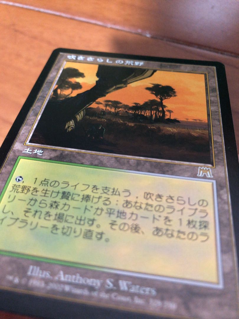 吹きさらしの荒野 1枚 (Used) （1937835806）| magi -TCG Marketplace