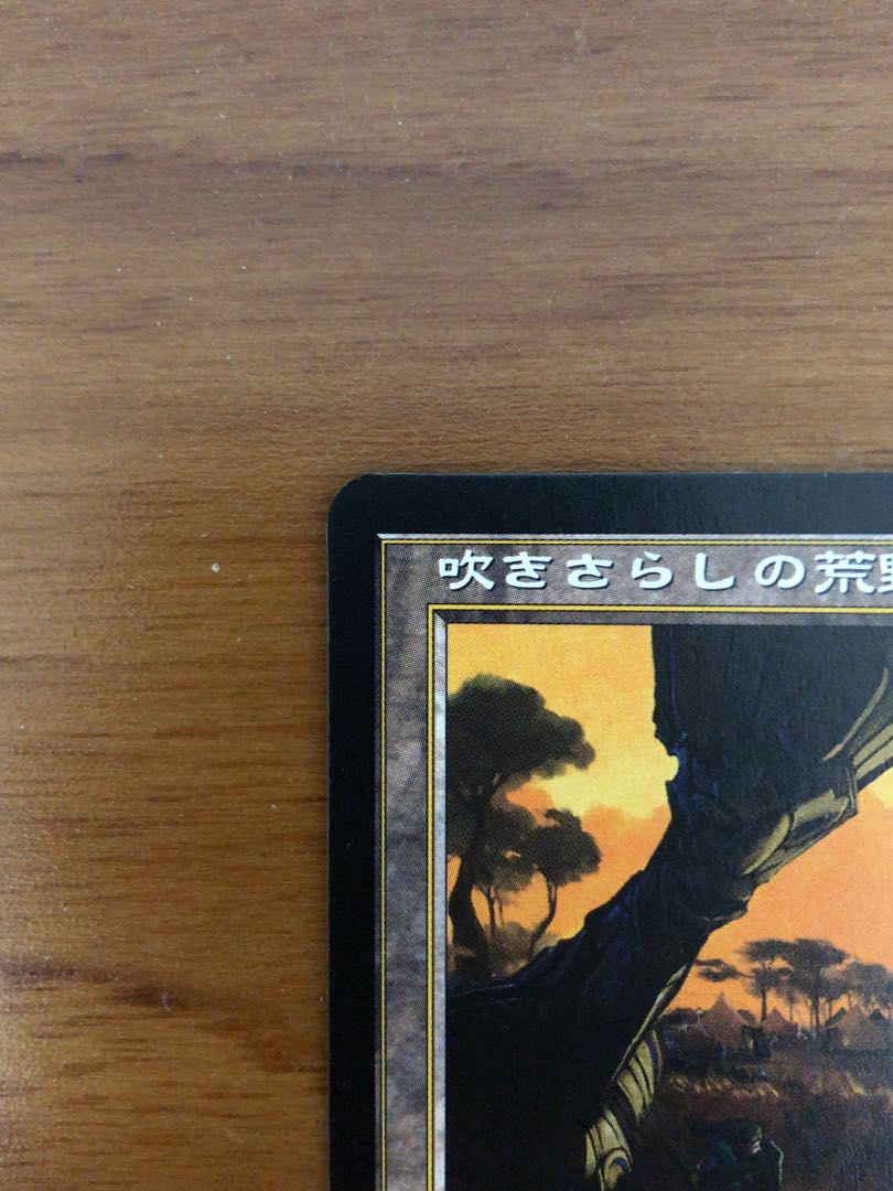 吹きさらしの荒野 1枚 (Used) （1937835806）| magi -TCG Marketplace