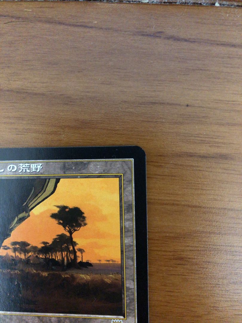 吹きさらしの荒野 1枚 (Used) （1937835806）| magi -TCG Marketplace