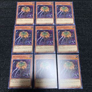 イビルセラ・ルテア ノーマル