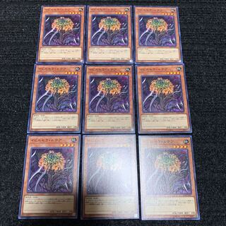 イビルセラ・ルテア ノーマル