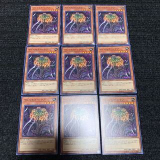 イビルセラ・ルテア ノーマル