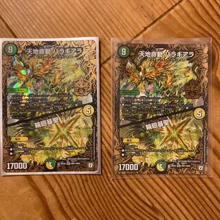 天地命動 バラギアラ｜輪廻暴聖