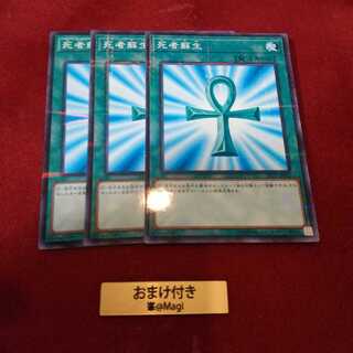 死者蘇生 パラレル ノーマル