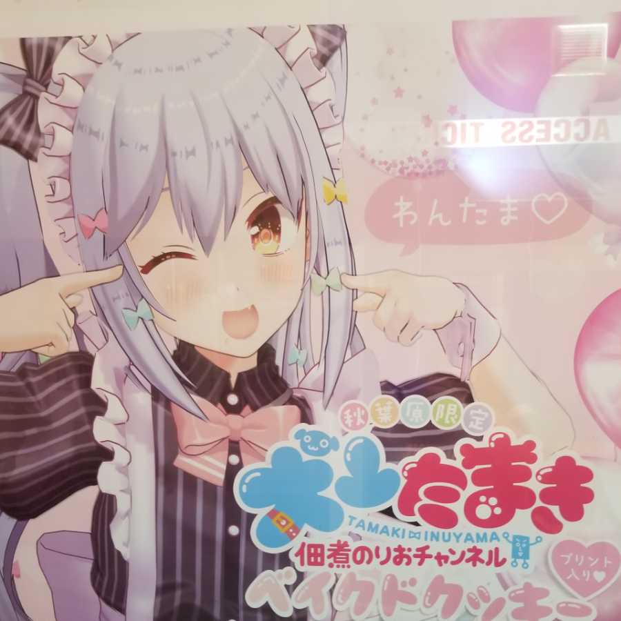 ガイニャンさん専用