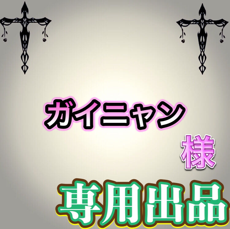 【専用出品】ガイニャン様