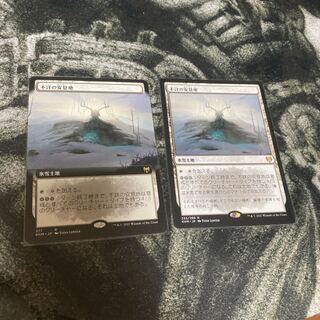 Faceless Haven 2 copies