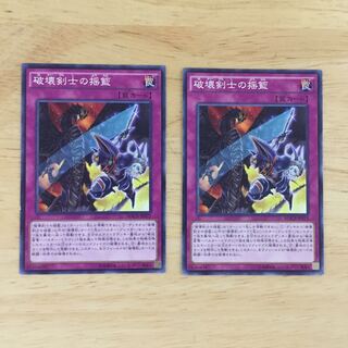 破壊剣士の揺籃