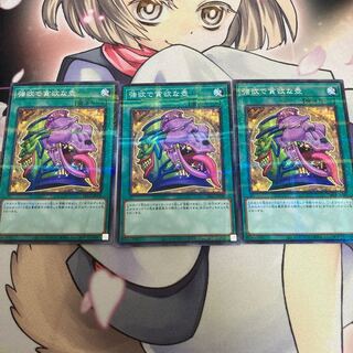 強欲で貪欲な壺 3枚セット