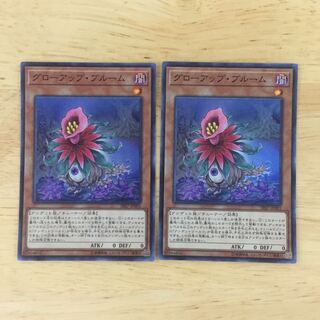 グローアップ・ブルーム