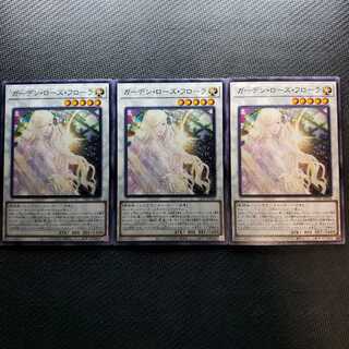 専用ガーデン・ローズ・フローラ レア