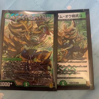 オウ禍武斗 <サンマ.Star>