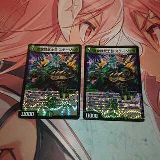 武家類武士目 ステージュラ