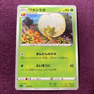 ワタシラガ TD 状態 説明文 写真