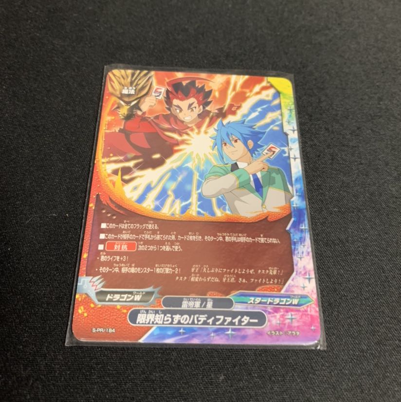 限界知らずのバディファイター