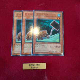 引きガエル ノーマル