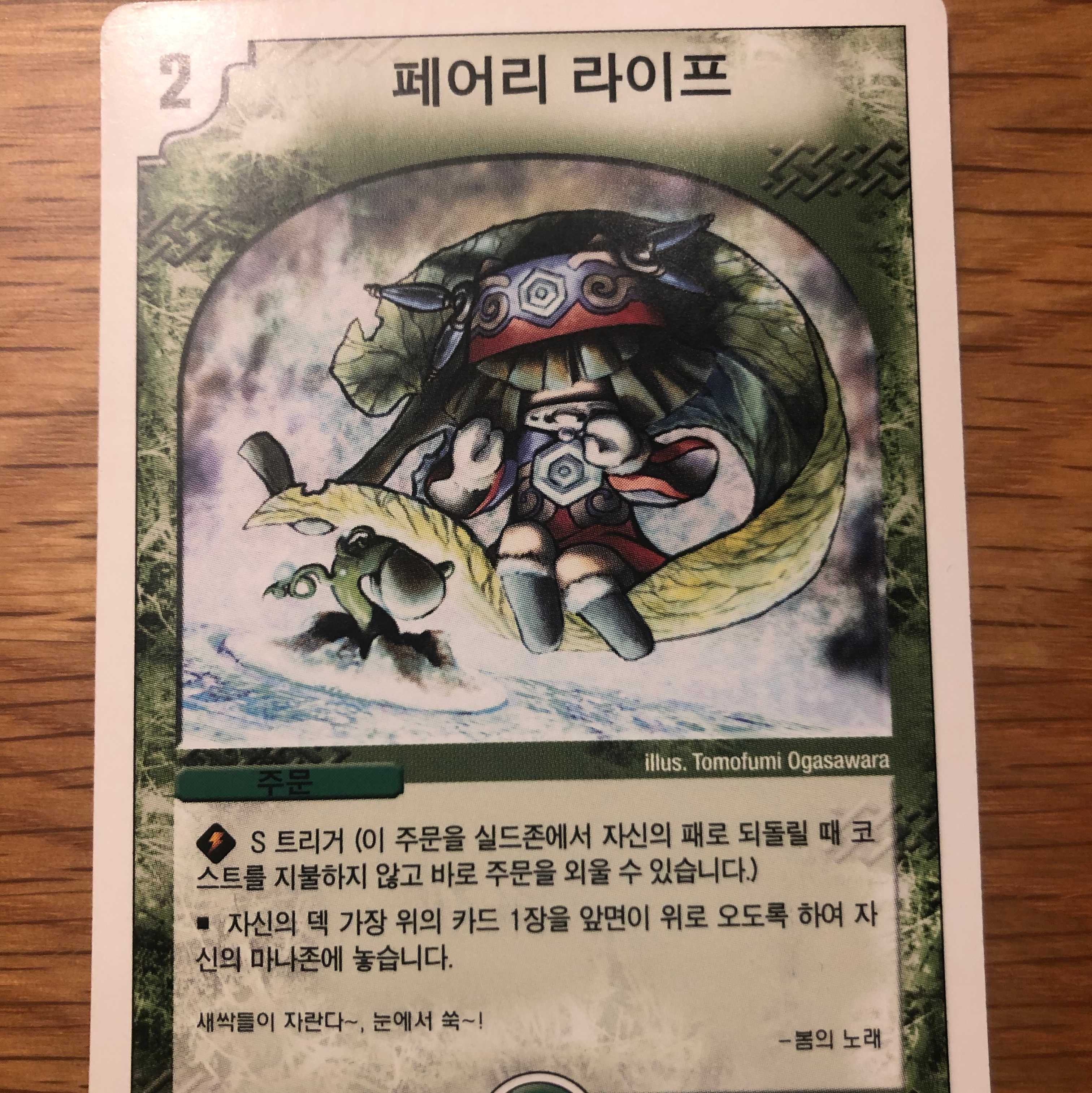 韓国版 デュエルマスターズ　フェアリーライフ