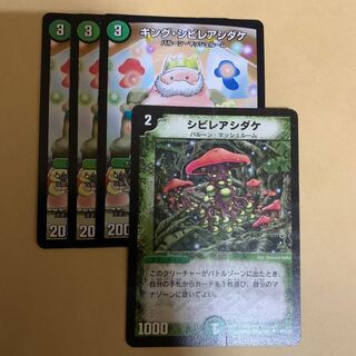 キングシビレアシダケ