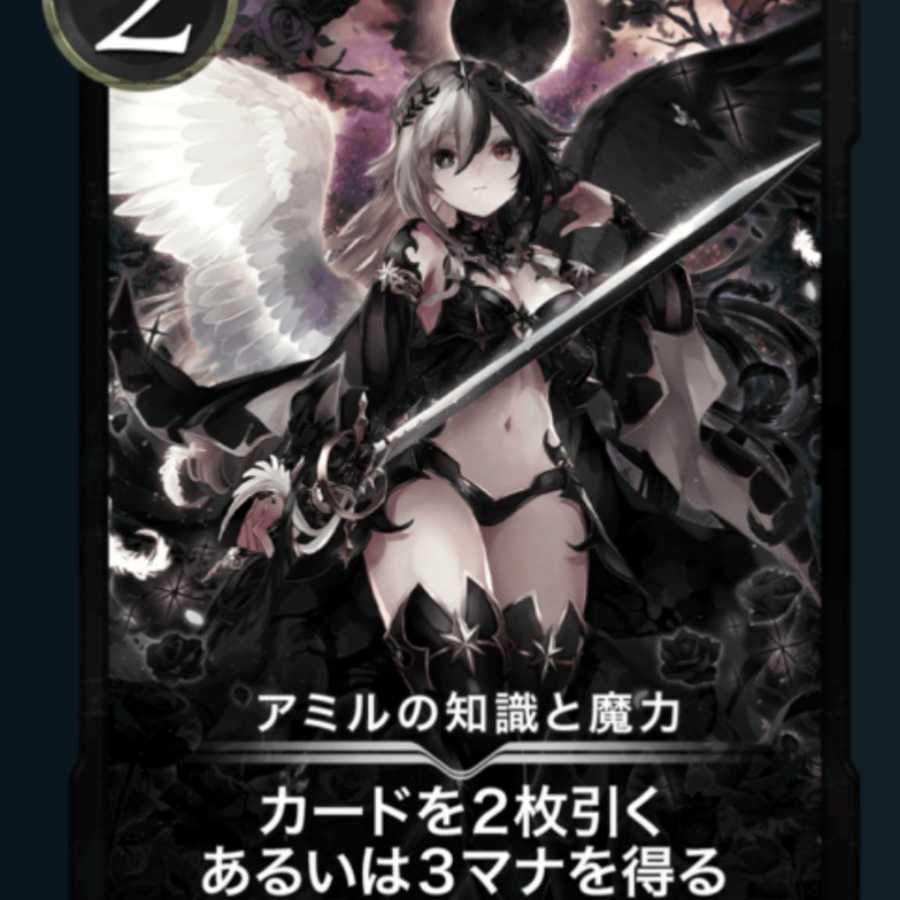 アミルの知識と魔力