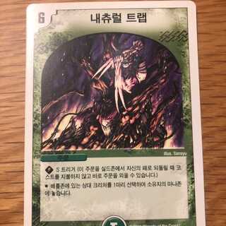 韓国版 デュエルマスターズ　 ナチュラルトラップ