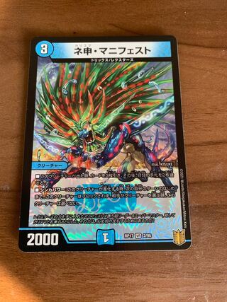 ネ申・マニフェスト