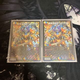 龍風混成 ザーディクリカ　2枚