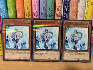 遊戯王 エフェクト・ヴェーラー ノーパラ3枚セット