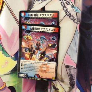 仙祖電融テラスネスク　２枚