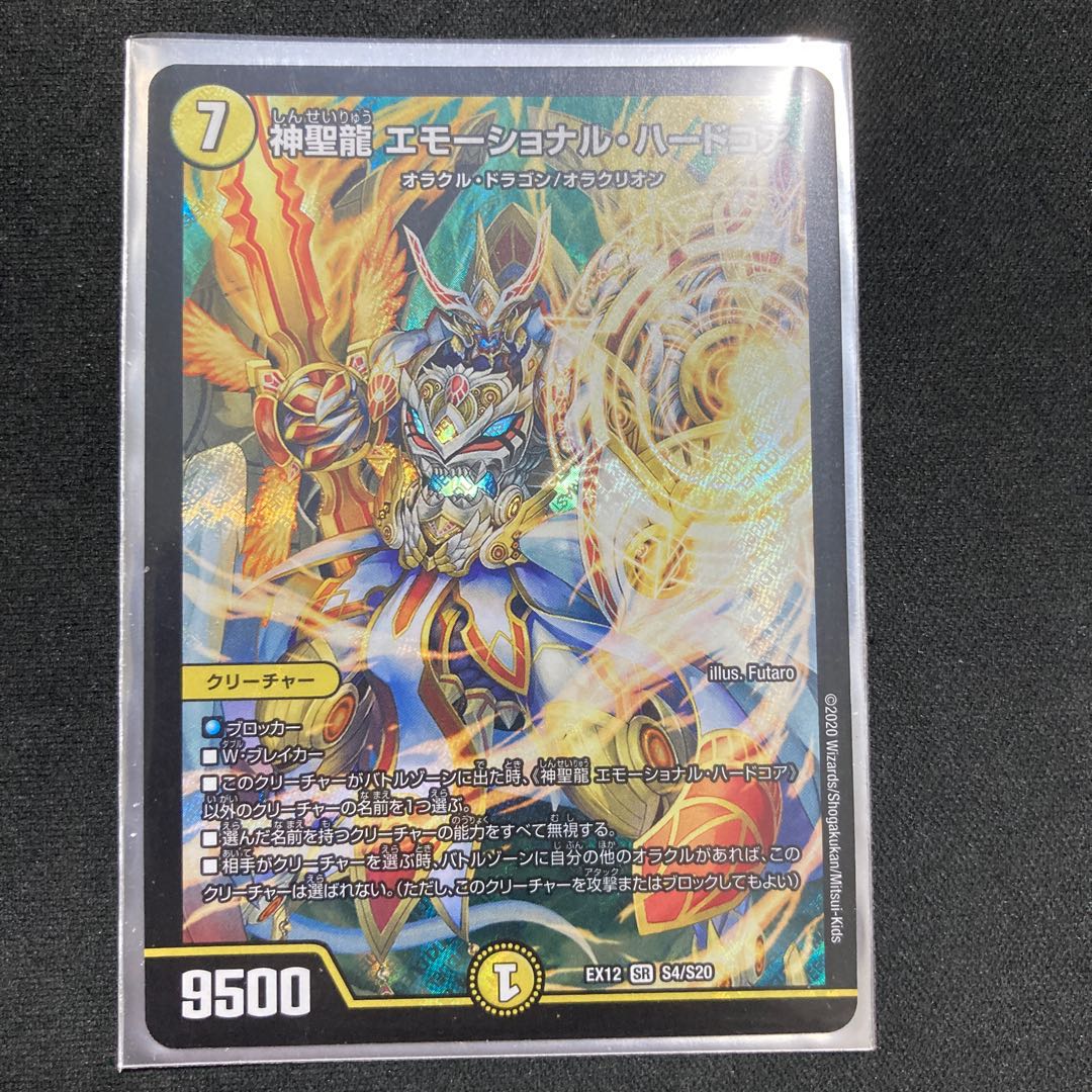 神聖龍 エモーショナル・ハードコア