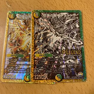 百族の長 プチョヘンザ