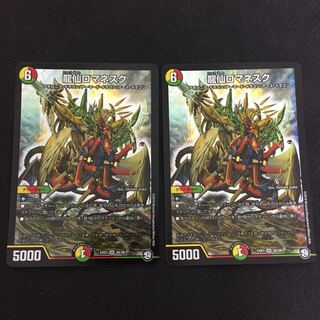 特価品 龍仙ロマネスク 2枚セット X002